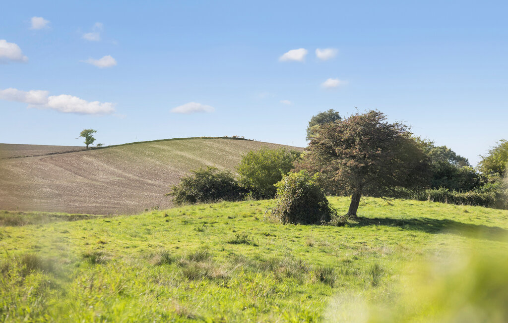 Feriehuse - Vemmingbund Strand , Danmark - F08084 14