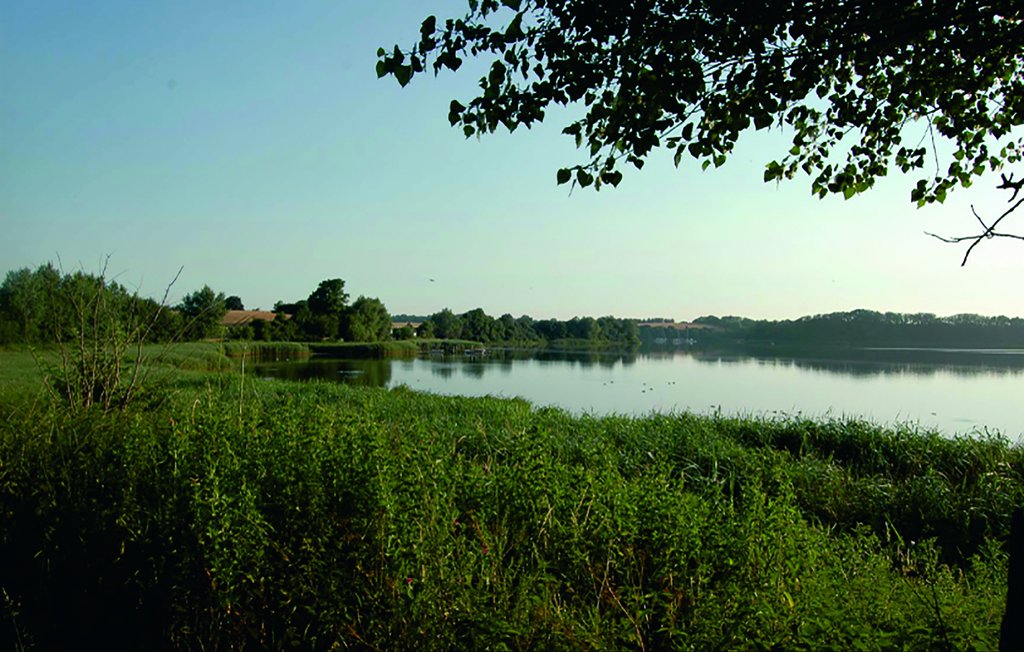 Feriehus - Mjelsvig , Danmark - F09113 5