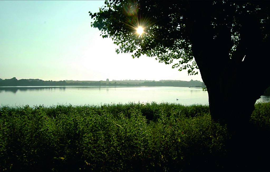 Feriehus - Mjelsvig , Danmark - F09113 6