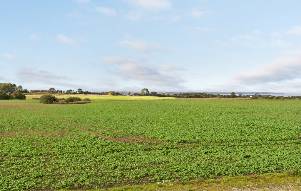 Ferieleilighet - Lønsømade Strand , Danmark - F09607 16