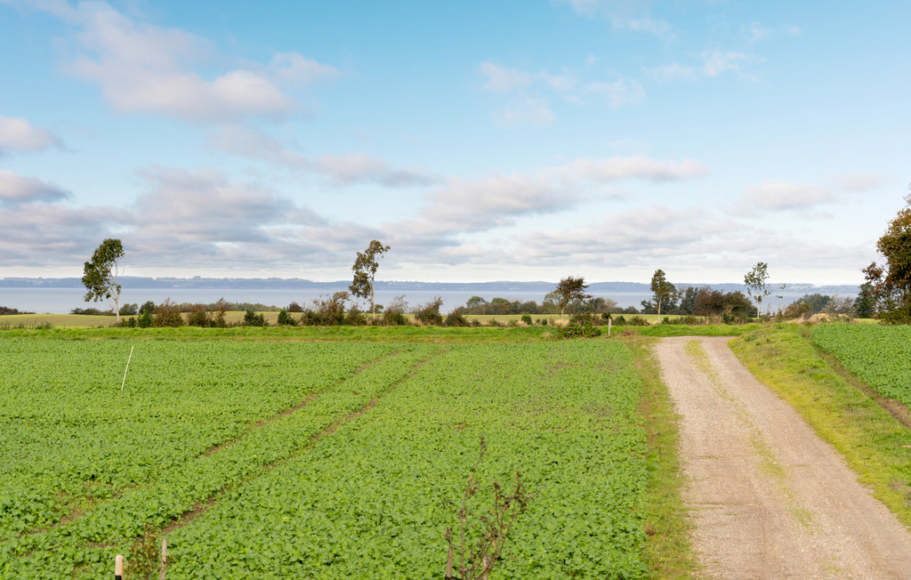 Ferieleilighet - Lønsømade Strand , Danmark - F09607 6