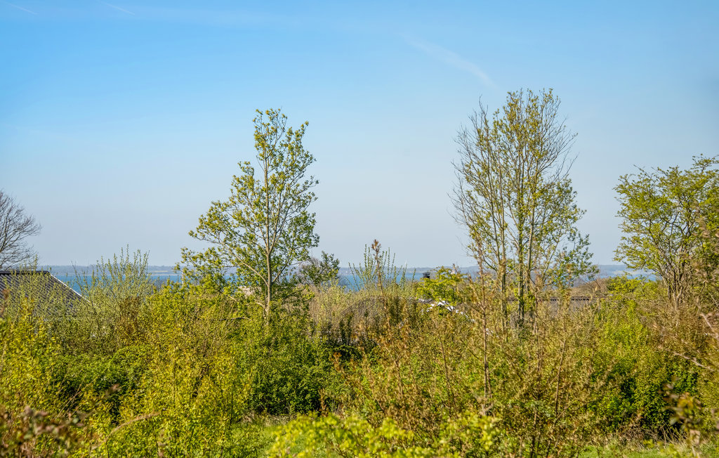 Ferienhaus - Kegnæs Strand , Dänemark - F09415 18
