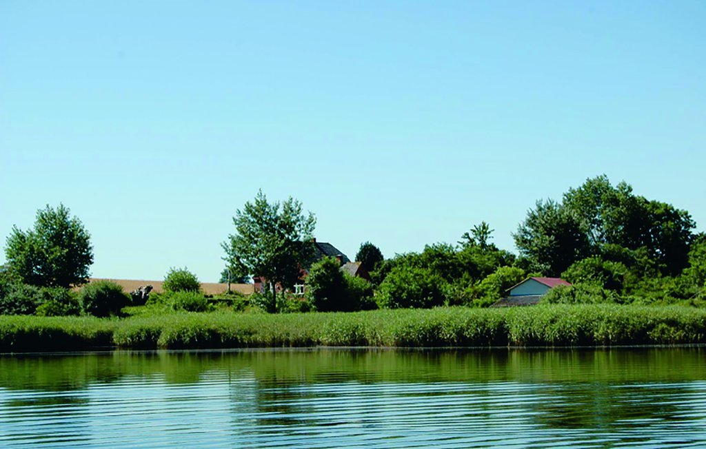 Feriehus - Mjelsvig , Danmark - F09113 4