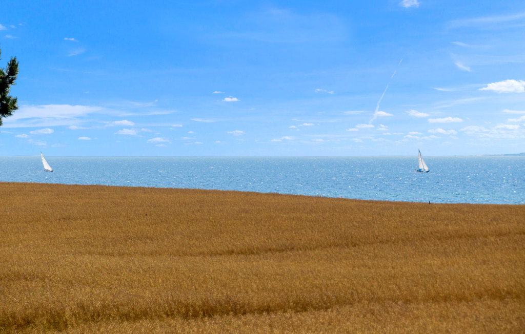 Ferienhaus - Kegnæs Strand , Dänemark - F09603 17