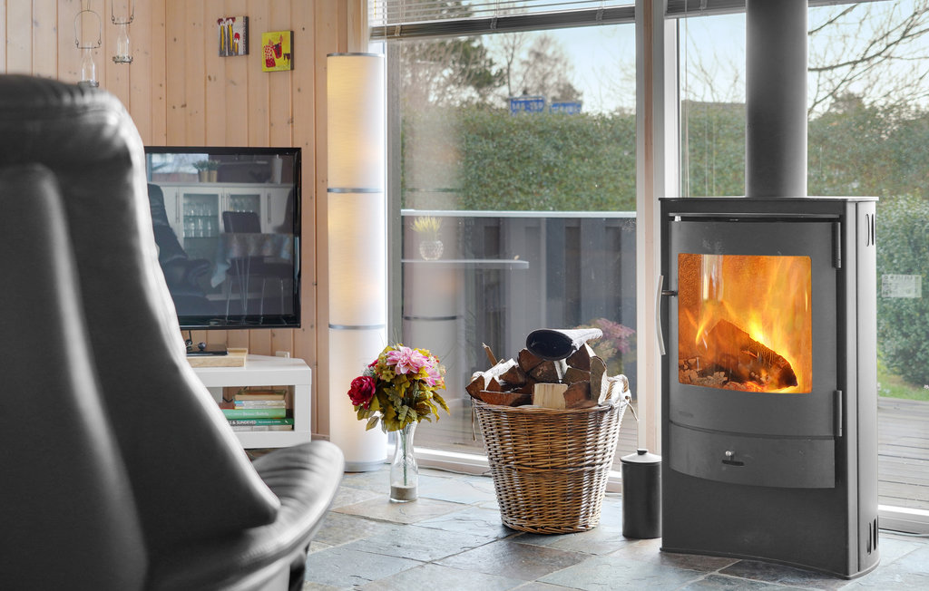 Feriehuse - Skovmose Strand , Danmark - F09524 5