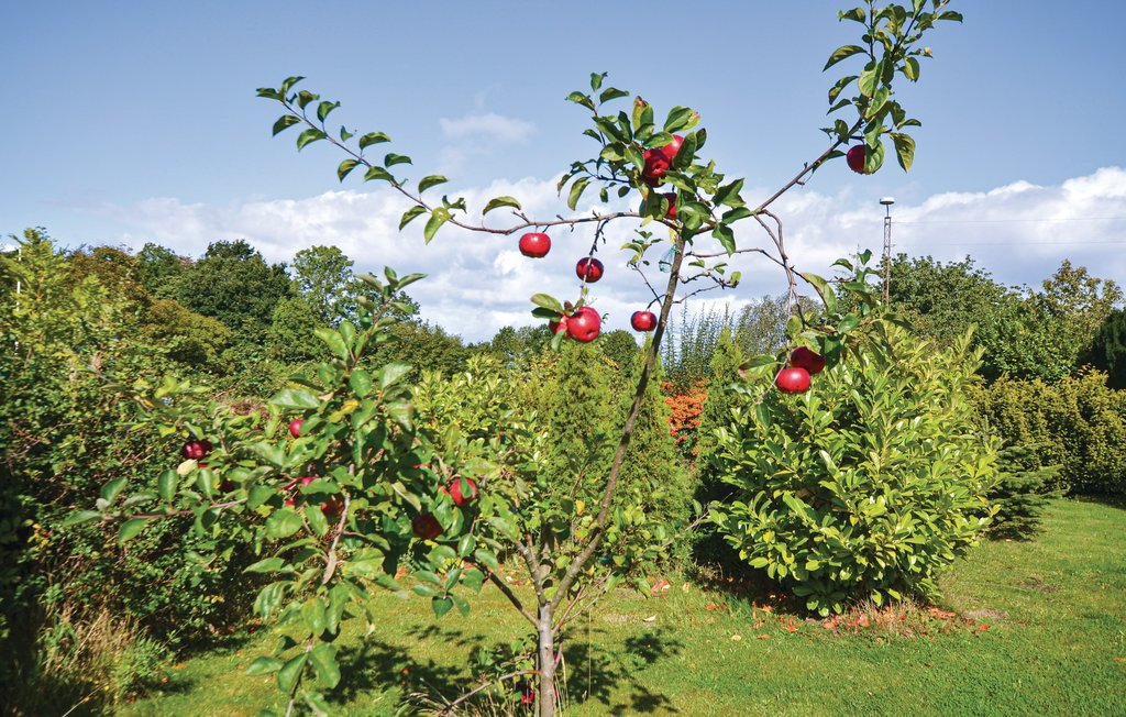 Feriehuse - Fynshav , Danmark - F09108 17