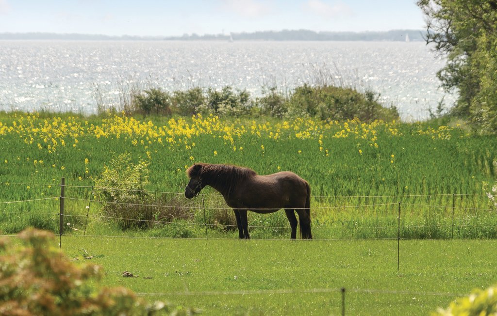 Ferieleilighet - Kegnæs , Danmark - F09454 13