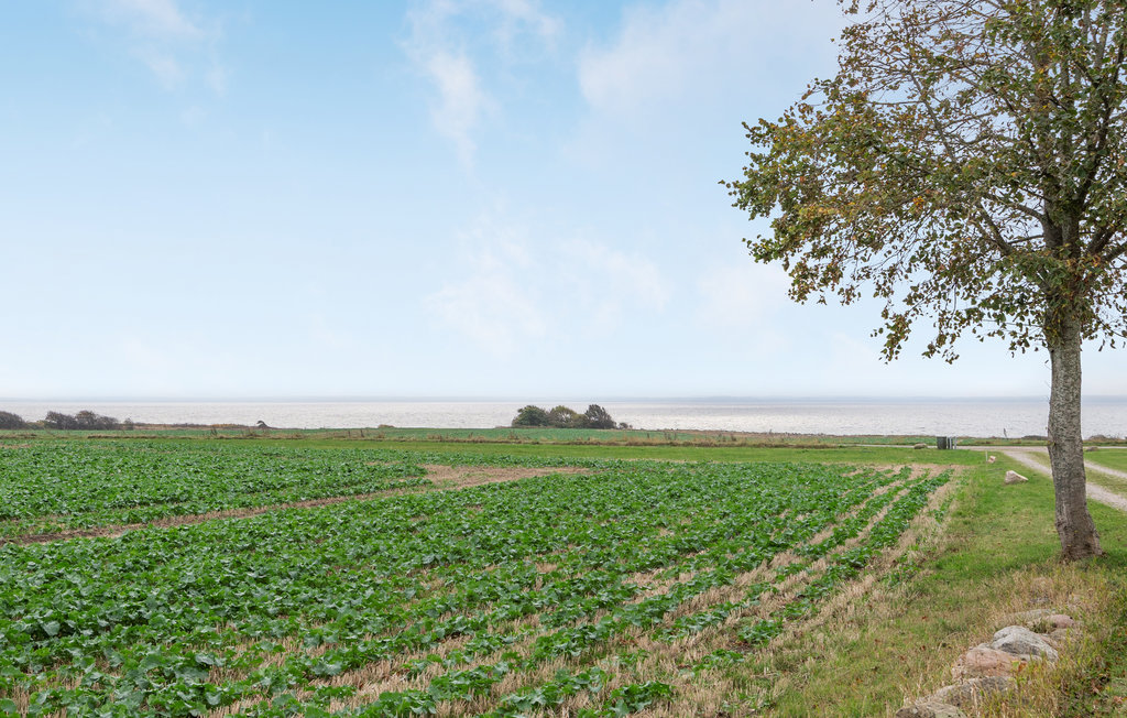 Feriehus - Kegnæs , Danmark - F09348 18