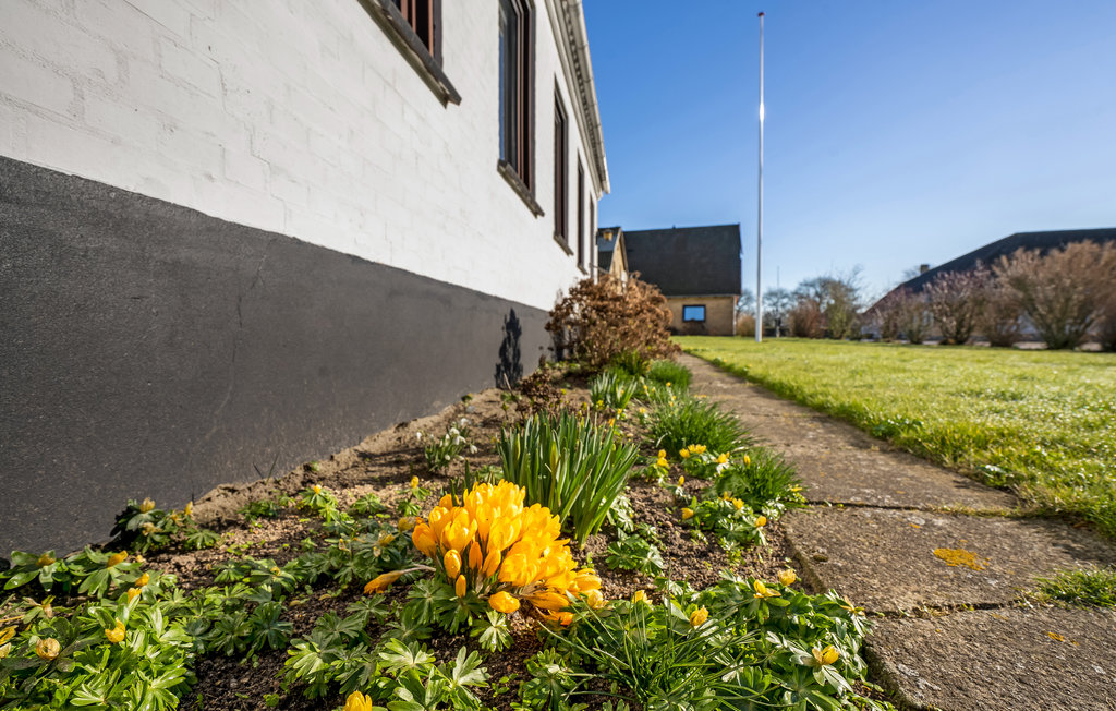Ferienhaus - Dyvig Strand , Dänemark - F09472 12