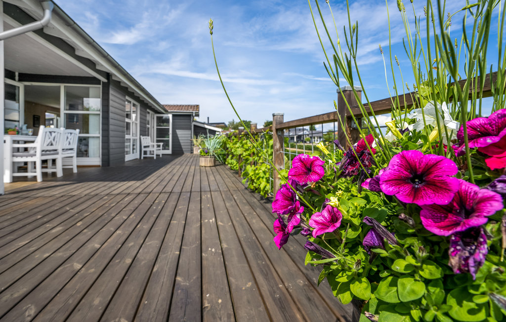 Feriehuse - Nr.Kettingskov , Danmark - F09369 16