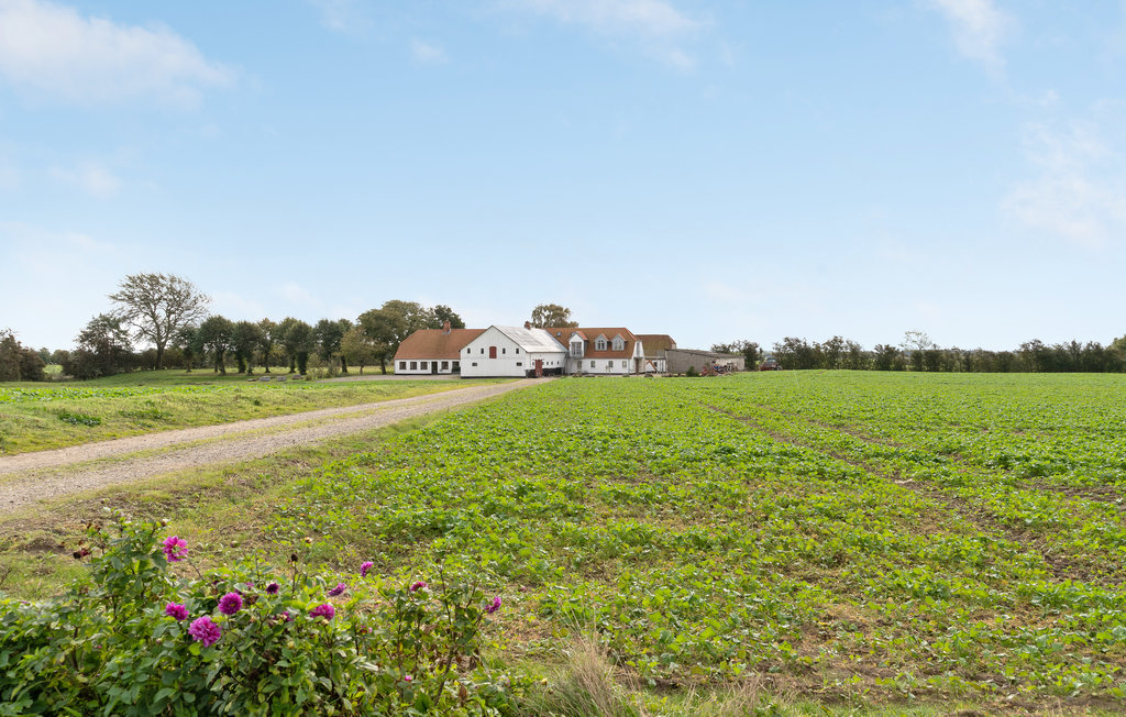 Ferieleilighet - Lønsømade Strand , Danmark - F09607 11