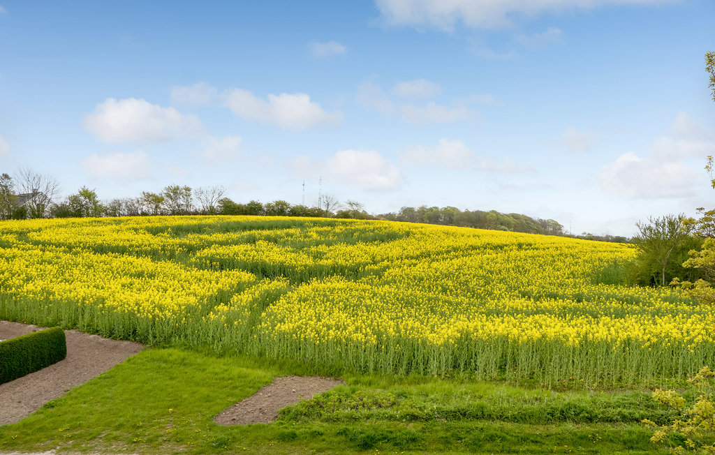 Feriehuse - Nordborg , Danmark - F09458 9