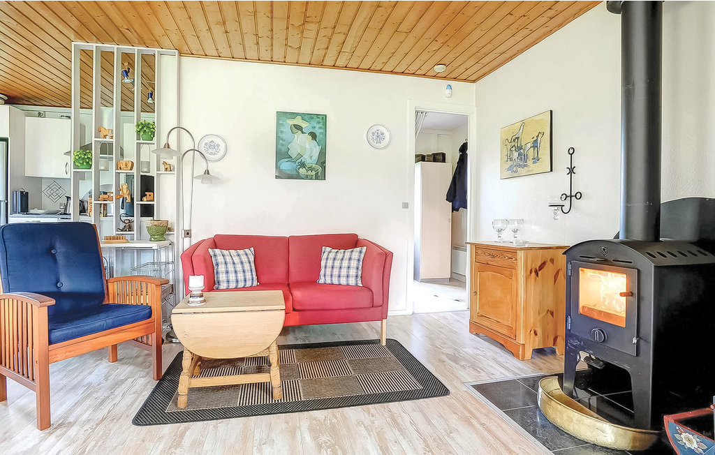 Feriehus - Nr.Kettingskov , Danmark - F09165 2