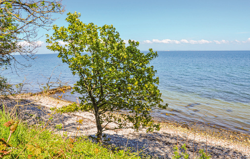 Ferienhaus - Asserballeskov , Dänemark - F09337 7