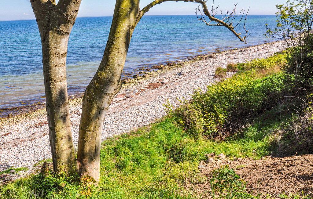 Ferienhaus - Asserballeskov , Dänemark - F09337 11