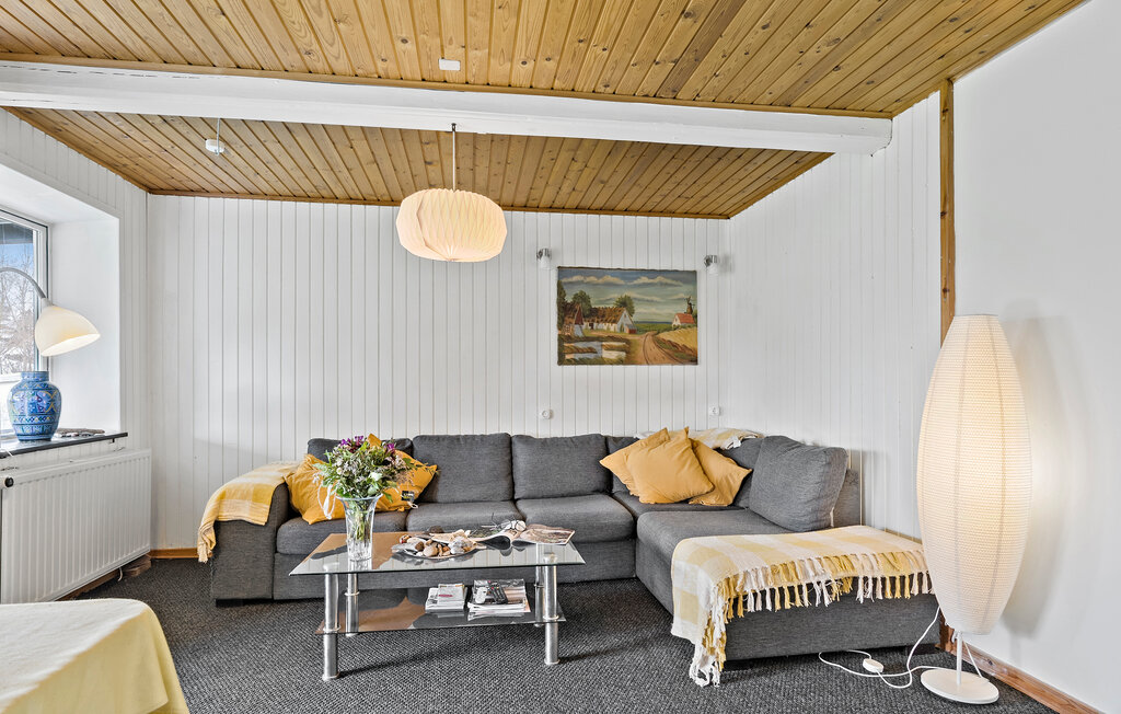 Ferienwohnung - Østerby Strand , Dänemark - F09539 3