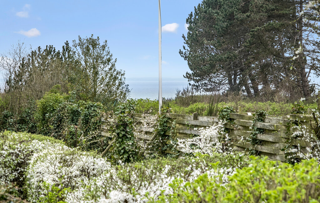 Semesterhus - Kegnæs Strand , Danmark - F09548 12