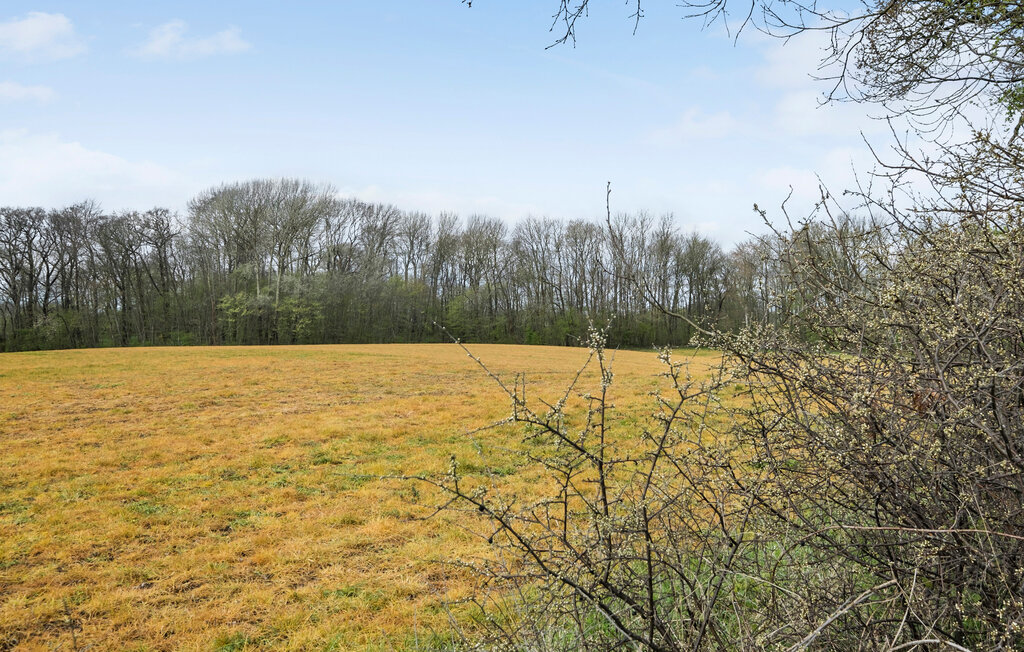 Semesterhus - Augustenborg Strand , Danmark - F09528 14