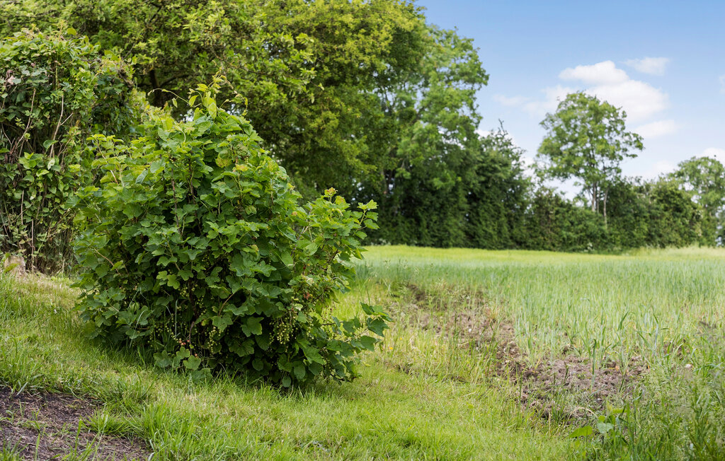 Kuća-za-odmor - Torup Strand , Danska - F09700 11