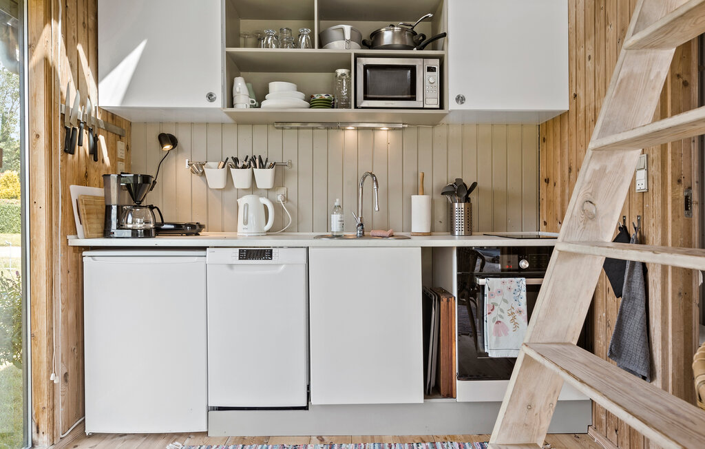 Ferienhaus - Kegnæs , Dänemark - F09307 6