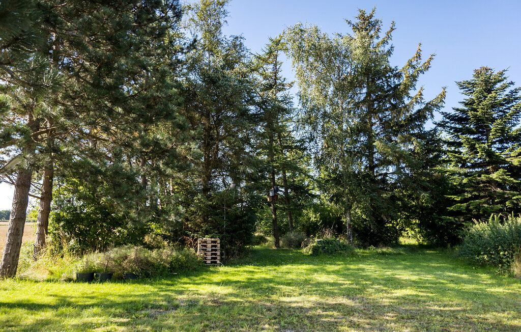 Ferienwohnung - Skovmose Strand , Dänemark - F09563 10