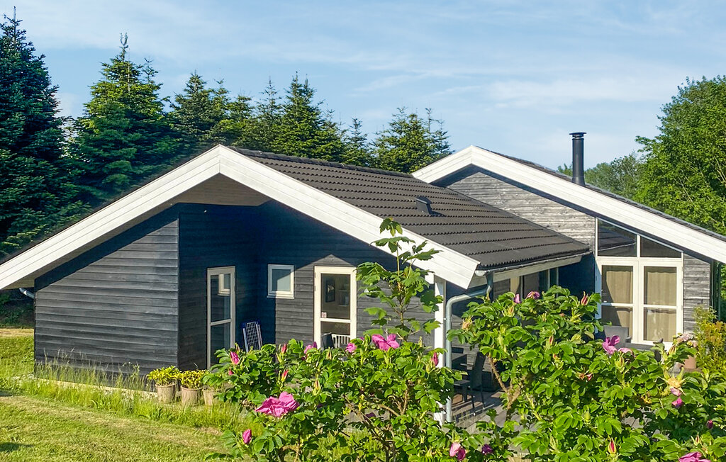 Ferienhaus - Mommark , Dänemark - F09210 10