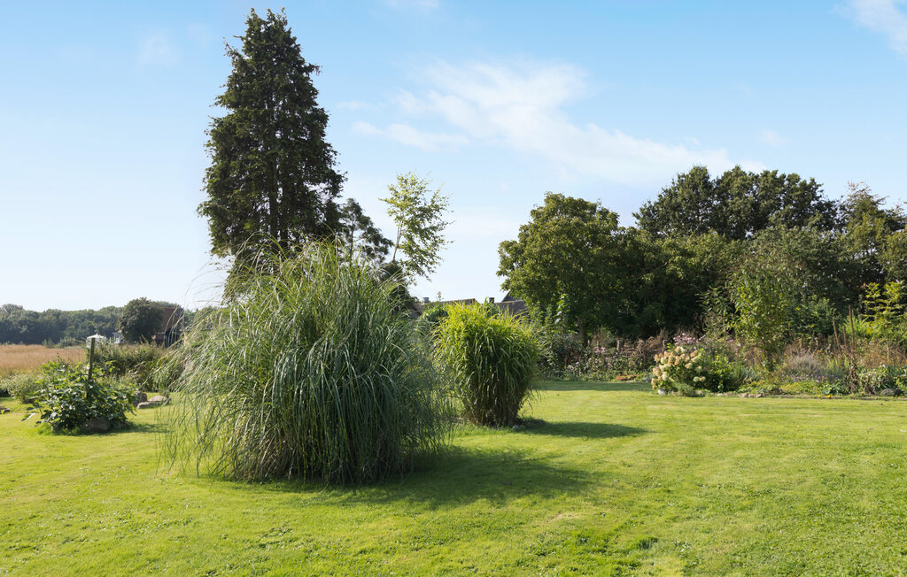 Ferienhaus - Mommark Strand , Dänemark - F09519 24
