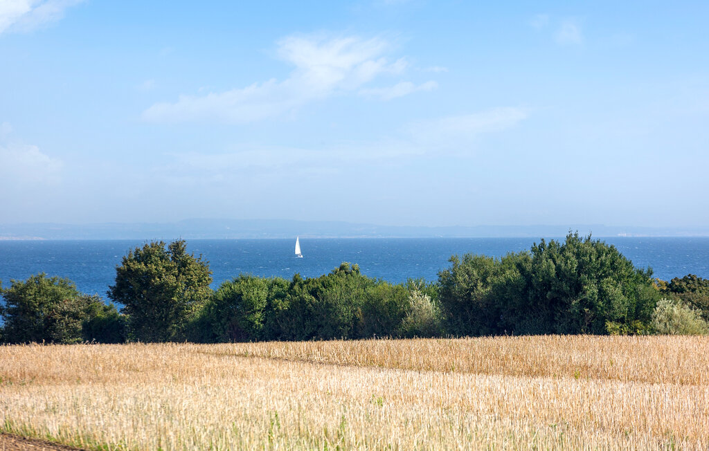 Ferienhaus - Mommark Strand , Dänemark - F09519 26