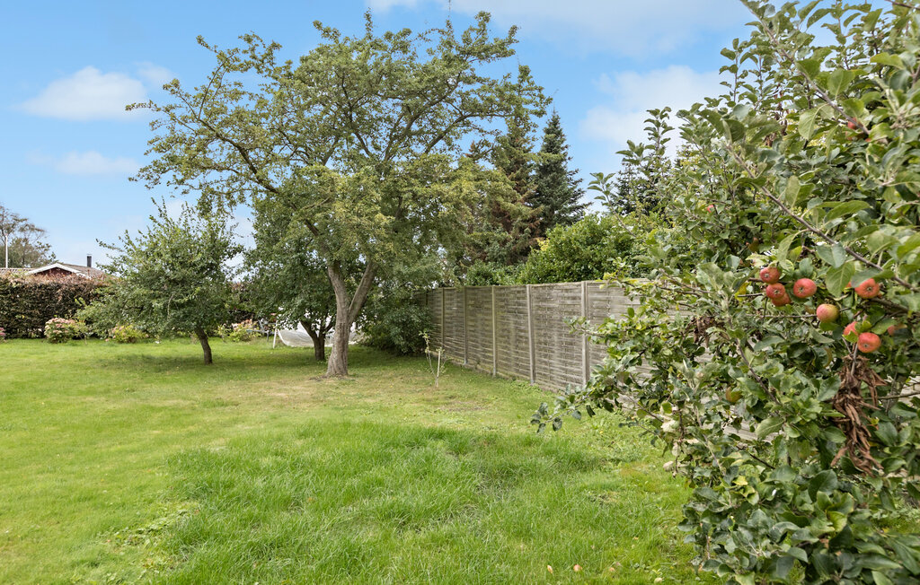 Ferienhaus - Kegnæs Strand , Dänemark - F09573 11