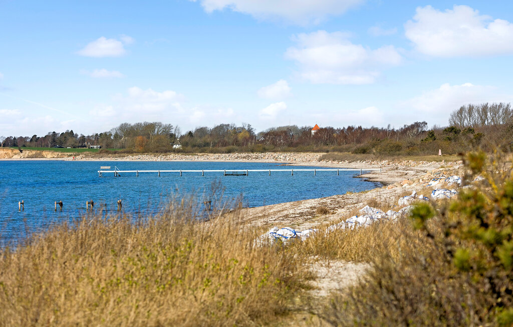 Ferienwohnung - Østerby Strand , Dänemark - F09539 17