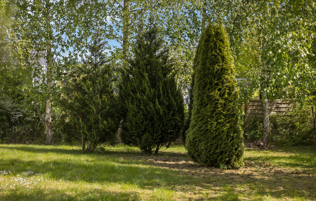 Feriehuse - Skovmose Strand , Danmark - F09581 15