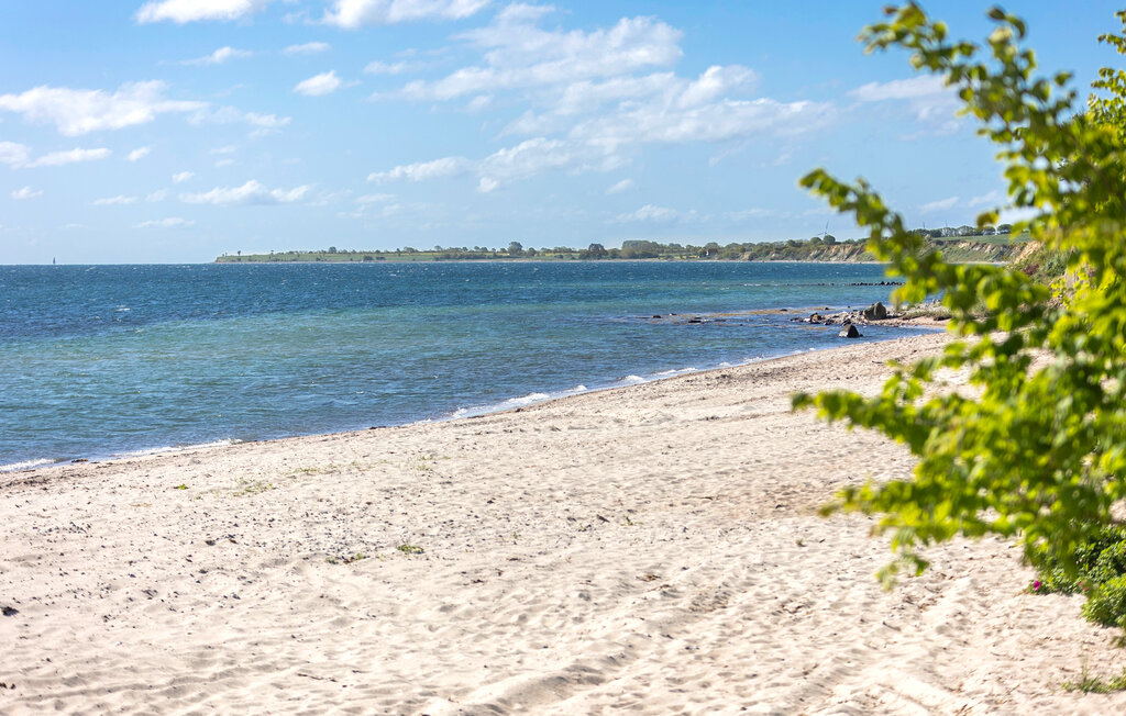 Ferienhaus - Mommark Strand , Dänemark - F09569 20