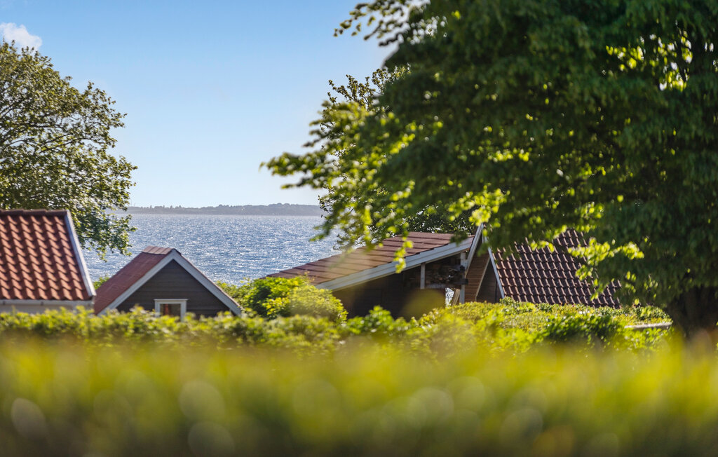 Ferienhaus - Mommark Strand , Dänemark - F09569 2
