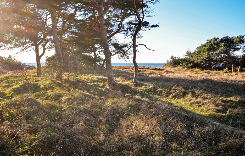 Ferienhaus - Ebbeløkke Strand , Dänemark - F3029 12