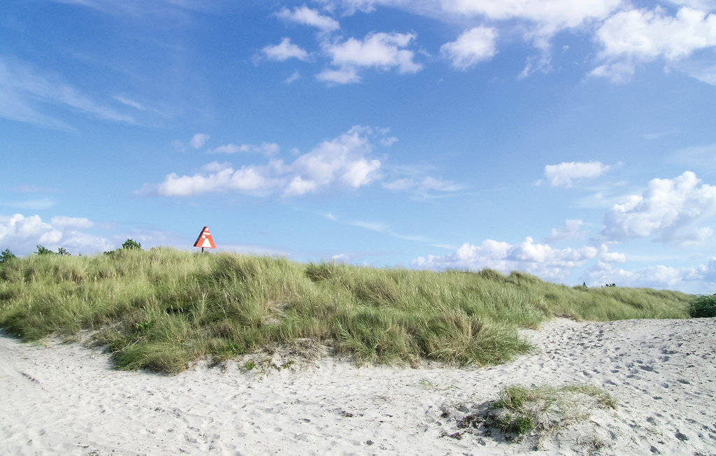 Feriehus - Tengslemark Lyng Strand , Danmark - F3107 17