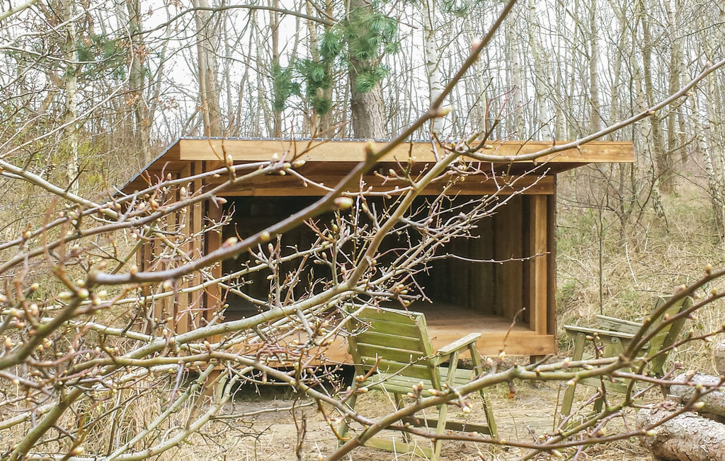 Feriehus - Tengslemark Lyng Strand , Danmark - F3107 9