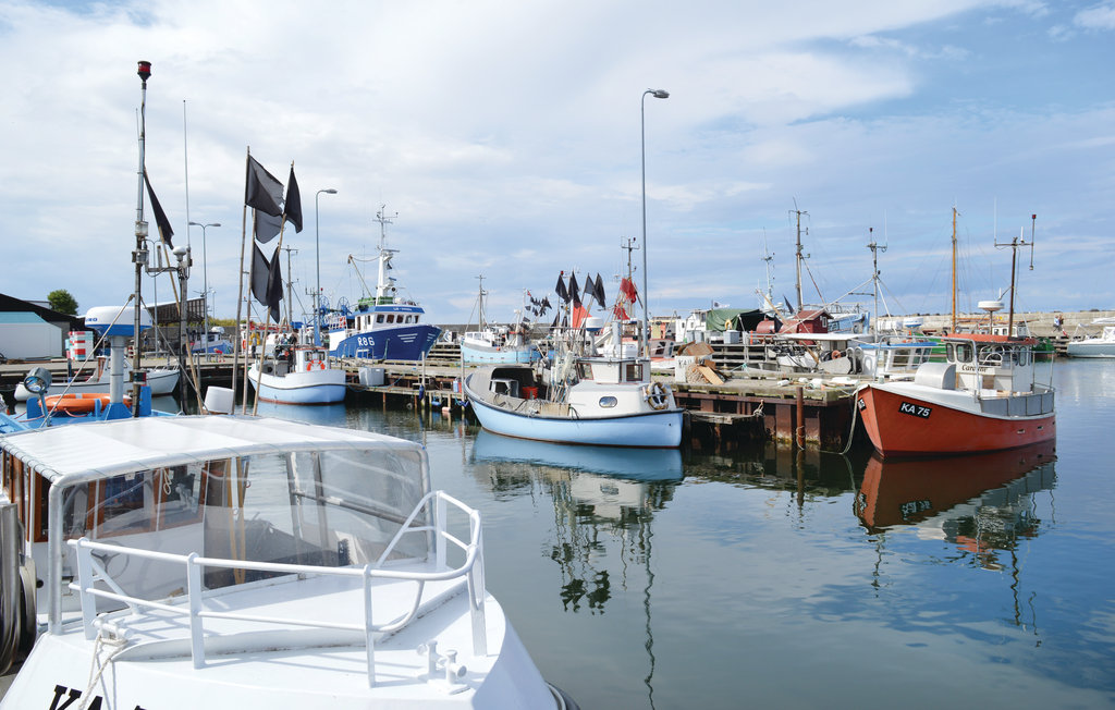 Ferienhaus - Sjællands Odde Strand , Dänemark - F3201 39