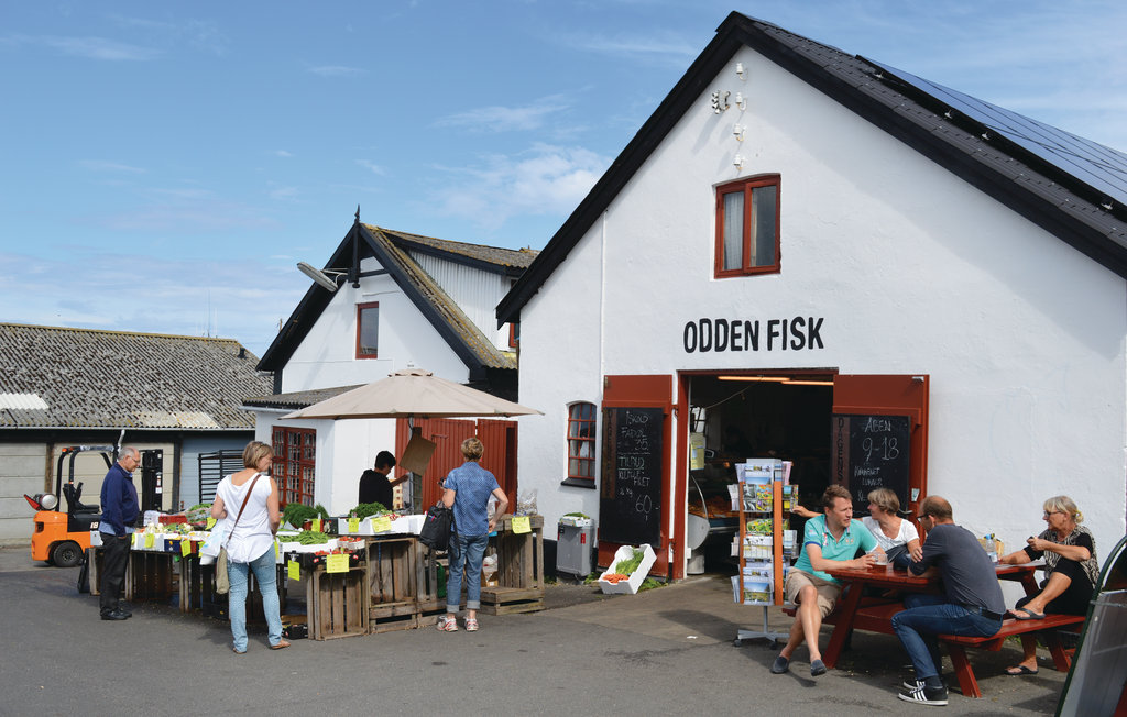 Ferienhaus - Sjællands Odde Strand , Dänemark - F3201 43