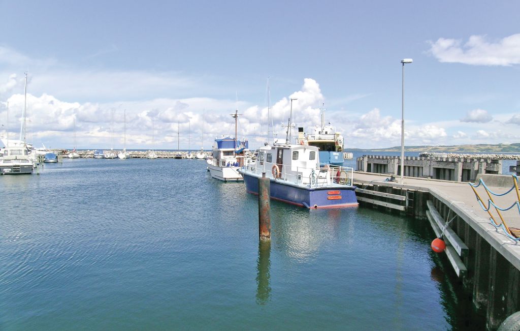Ferienhaus - Havnsø Strand , Dänemark - F3255 22