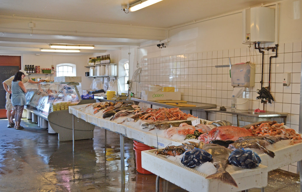 Ferienhaus - Sjællands Odde Strand , Dänemark - F3201 44