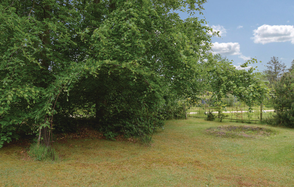 Ferienhaus - Sjællands Odde Strand , Dänemark - F3201 13
