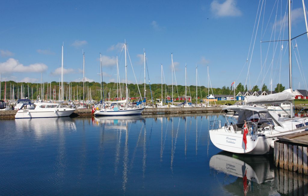 Ferienwohnung - Nykøbing Sj. Strand , Dänemark - F3350 29