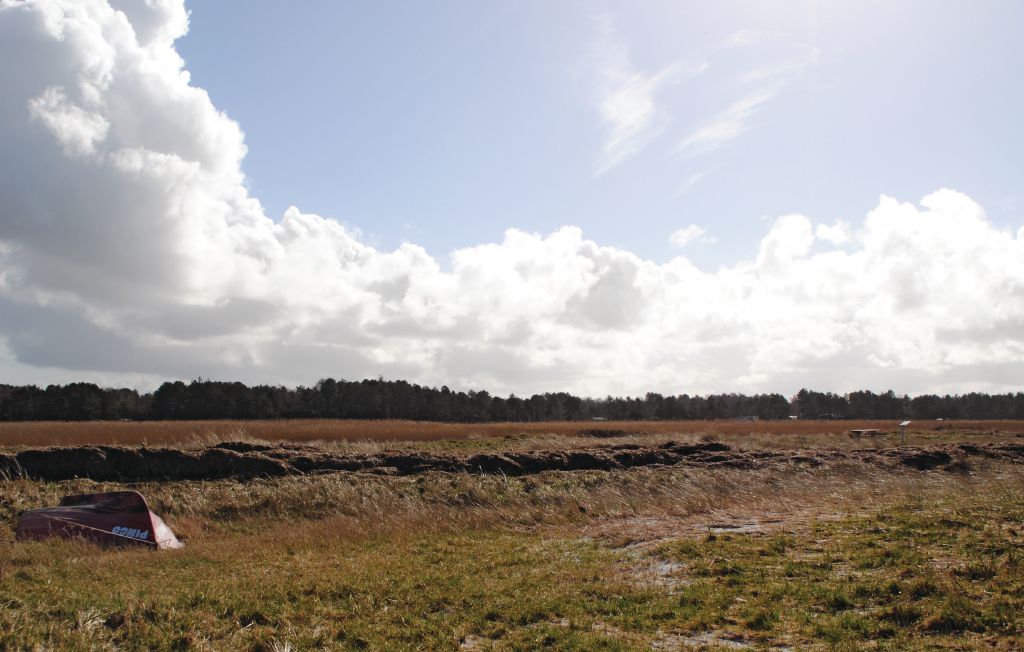 Ferienhaus - Hønsinge Lyng Strand , Dänemark - F3407 36