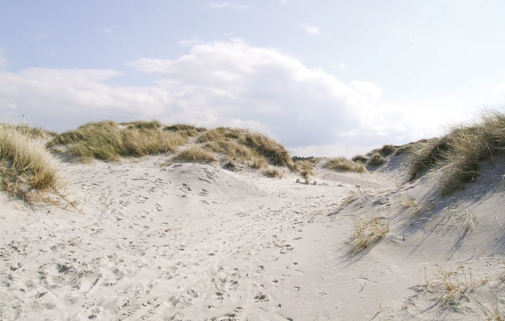 Ferienhaus - Tengslemark Lyng Strand , Dänemark - F3471 28