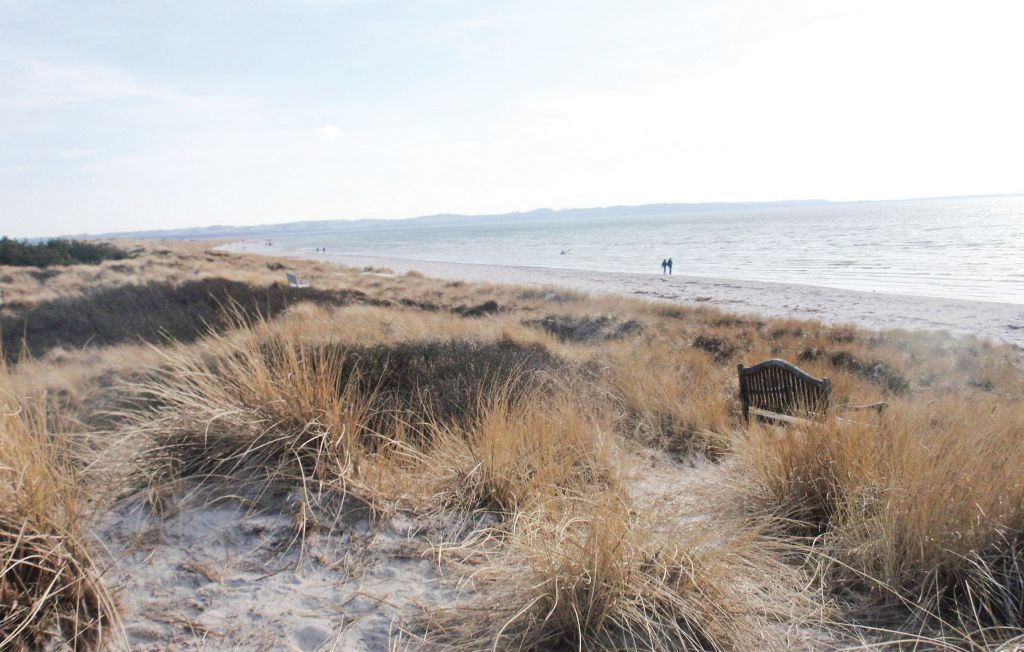 Ferienhaus - Tengslemark Lyng Strand , Dänemark - F3471 30