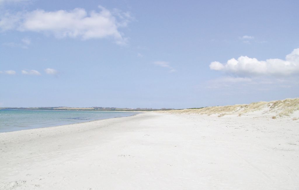 Ferienhaus - Tengslemark Lyng Strand , Dänemark - F3471 29