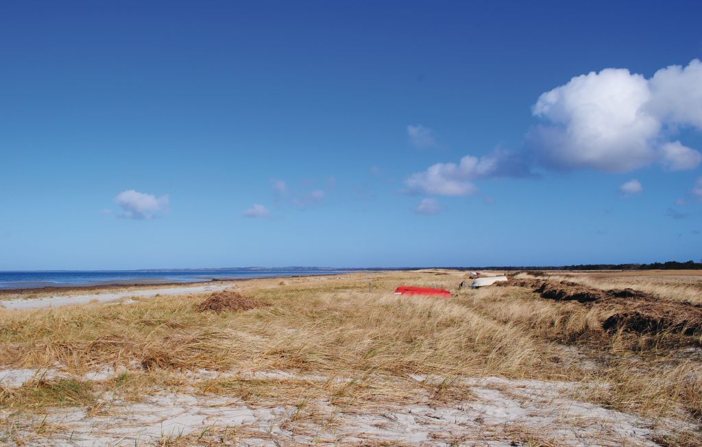 Ferienhaus - Hønsinge Lyng Strand , Dänemark - F3407 34