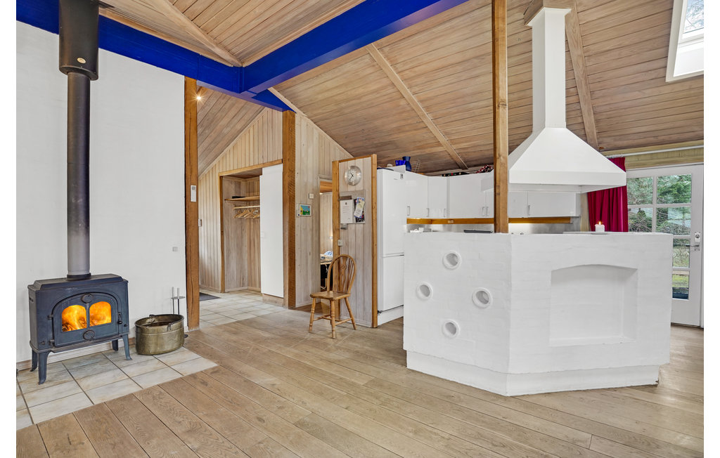 Ferienhaus - Hønsinge Lyng Strand , Dänemark - F3407 7