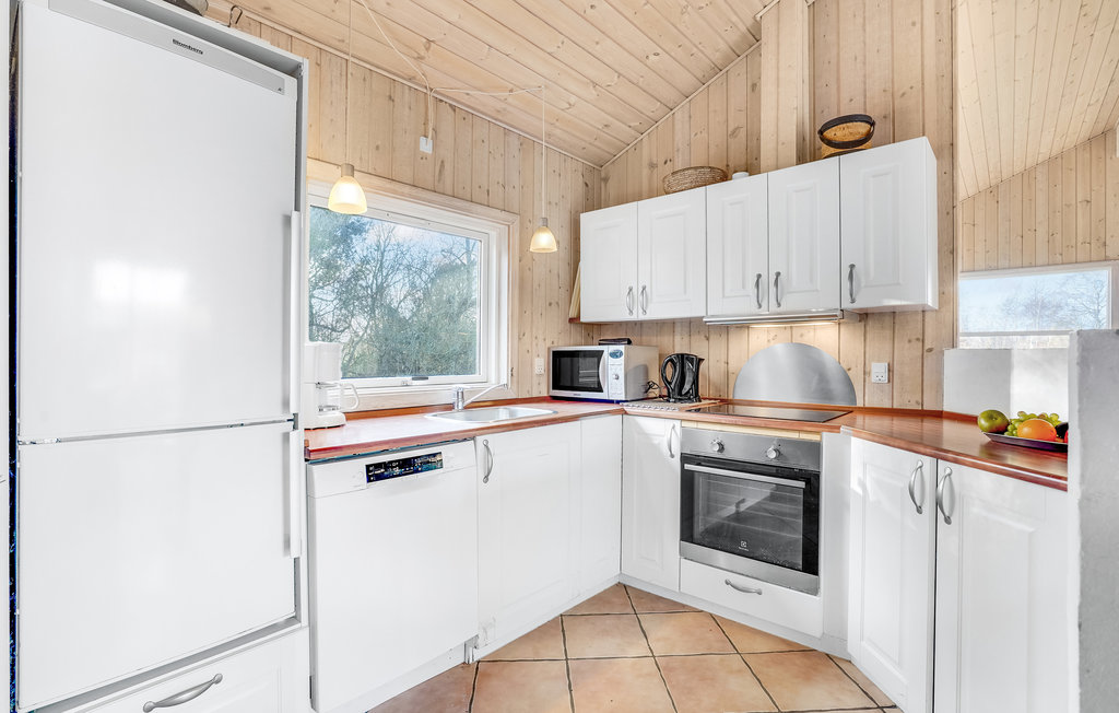 Ferienhaus - Tengslemark Lyng Strand , Dänemark - F3471 7