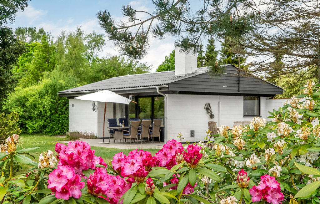 Feriehuse - Svenstrup Strand , Danmark - F3460 11